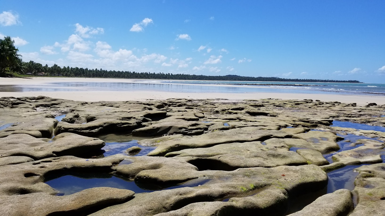 Coqueiral, areia e recifes no litoral alagoano