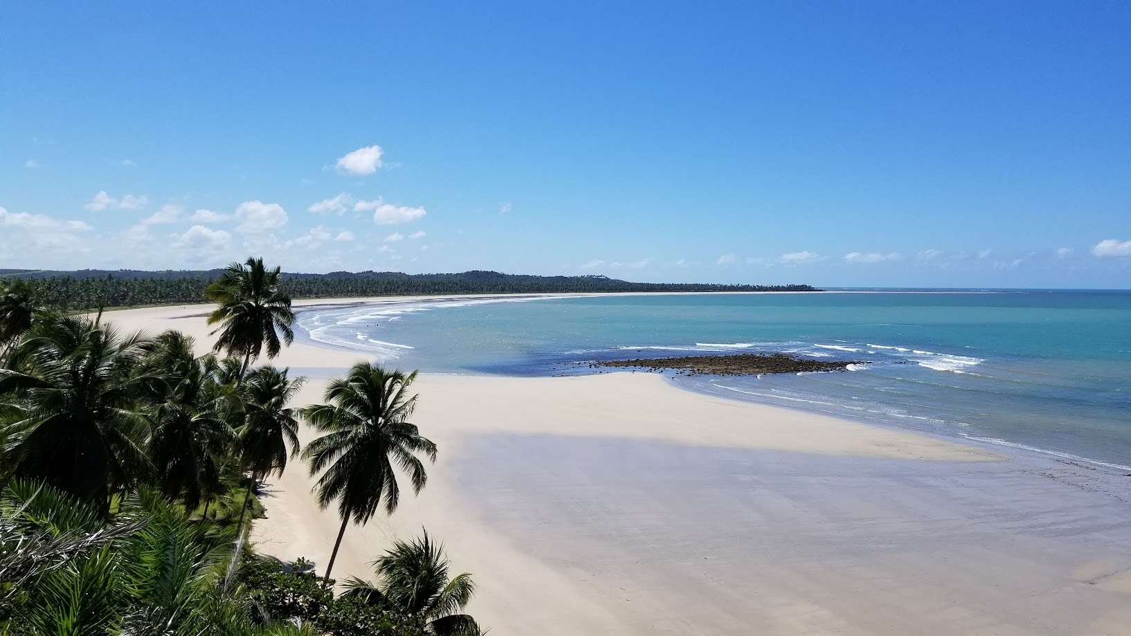 Coqueiral, areia e recifes no litoral alagoano